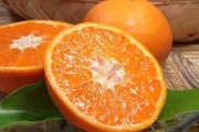 大棚柑橘怎么種植技術_能否采用遮陰棚降低光照和溫度