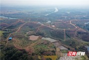 衡陽市柑橘種植技術(shù)規(guī)程_桂林是幾線城市