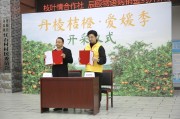 愛媛橙產自哪里_愛媛橙28和38的區別
