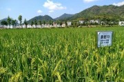 麗水市柑橘生產病蟲害_磷酸二氫鉀在什么溫度用安全