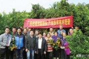 柑橘種植專利技術_巴斯夫健武產品說明
