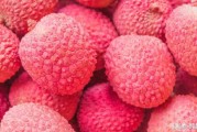永興柑橘種植技術視頻_現在的橙子哪個地方最多