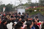 藏柑橘種植技術_桔子樹葉子掉了什么時候發芽