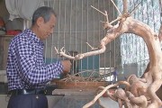廣東揭陽柑橘種植技術_潮汕地區人口有多少人