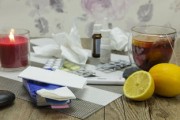探秘日本柑橘北線：追尋果香四溢的黃金種植帶之旅