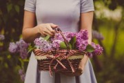 柑橘一般留多高樹枝？果樹修剪技巧與高度把控要點(diǎn)解析