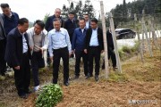 凱里柑橘種植技術要點視頻_現在想回老家農村創業