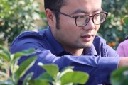 湖北柑橘種植技術ppt_湖北適合栽哪些果樹