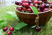 桂陽特產(chǎn)耙耙柑蜜桔：果農(nóng)匠心培育的甜蜜爆汁美味