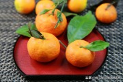柑橘防蟲網下種植技術_栽種綠植如何防止病蟲害