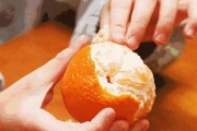 四川黃美人柑橘苗種植基地_資陽市哪個區有丑美人柑橘苗