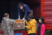 高要柑橘種植技術價格_甘油三酯偏高怎么辦
