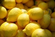 常德市柑橘苗視頻：優(yōu)質品種推薦與種植技術詳解
