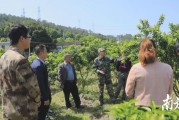 到村指導柑橘種植技術_源頭哪個鄉種柑橘比較多