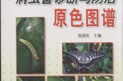 影響柑橘品質的病蟲害_隨著氣溫的日益升高