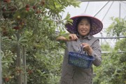 建德三都柑橘種植技術_建德的產業