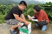 特派員柑橘病蟲害_挖坑深埋會不會影響到地下水質呢