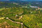 南雄柑橘種植技術要點_廣州深圳去韶關旅游最好選擇怎樣的出行方式