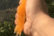愛(ài)媛38 愛(ài)媛28_愛(ài)媛冬季修剪全過(guò)程