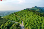 李老師柑橘種植技術_8一9百米的海拔適合種什么水果