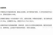 柑橘檸檬種植技術_檸檬爛葉子怎么辦