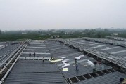 柑橘種植物流管理技術_農民在鎮街開農資店