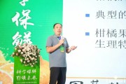 未來柑橘種植技術_柑橘斜坡種植技術