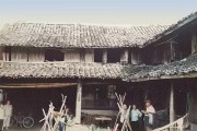 涌泉柑橘種植管理技術_東江湖蜜桔和涌泉蜜桔哪個好吃