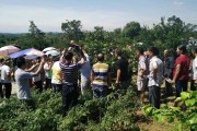柑橘類病蟲害統防統治_贛南臍橙黃龍病會不會消失