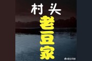 種植柑橘規(guī)格技術(shù)_果樹(shù)種植提高掛果率有哪些辦法
