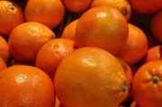 無核沃柑哪里的好(無核沃柑有幾個(gè)品種) 無核沃柑哪里的好(無核沃柑有幾個(gè)品種)