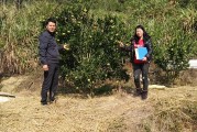 柑橘種植技術與施肥_柑橘樹能長多高