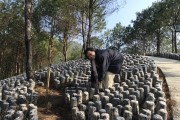 助農驛站柑橘種植技術_你覺得哪種禮品更讓人喜歡