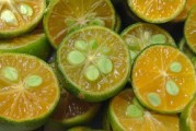 云南哪個地方產沃柑（云南沃柑批發）