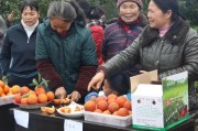 宜賓柑橘種植招聘技術員_香腸如何配料