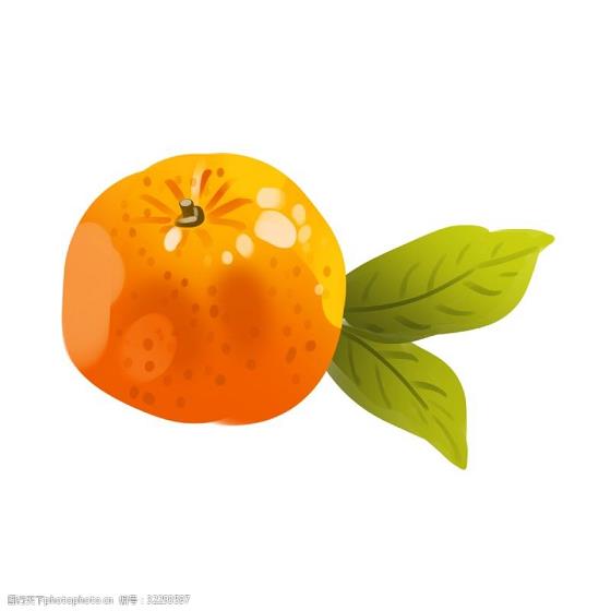 柑橘木虱危害癥狀圖（柑橘木虱的主要危害是什么）