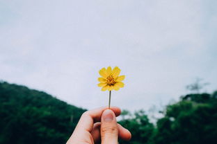 柑橘幼樹怎樣控花：科學(xué)方法助你促進(jìn)樹體生長(zhǎng)與增產(chǎn)