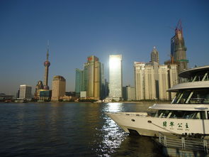 2023年全國柑橘主要品種占比情況圖及區域分布可視化分析