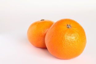 柑橘專(zhuān)用產(chǎn)品包括哪些（柑橘制品）